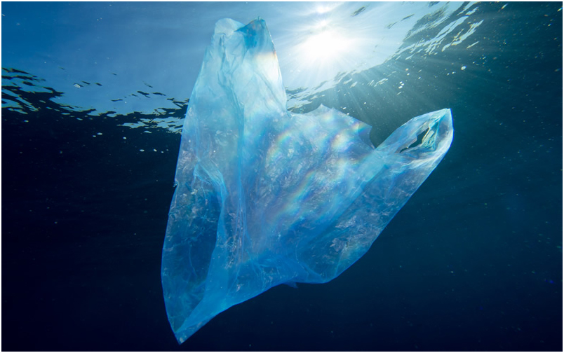 A plastic bag under the ocean.